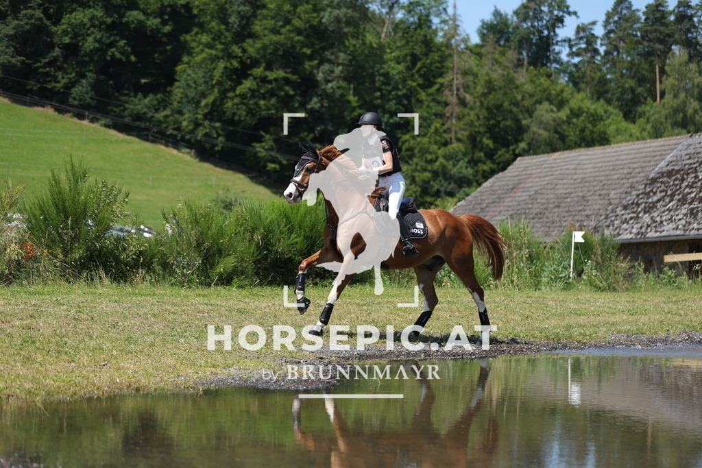0P6A4054 | Willkommen bei Brunnmayr - Design & Fotografie – Ihrem Spezialisten für Reitturniere und Pferdeveranstaltungen in Oberösterreich, Salzburg und Bayern! Seit über 17 Jahren sind wir leidenschaftlich dabei.