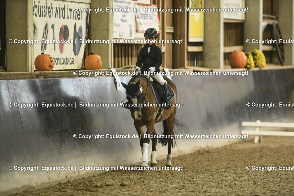 20231029_02_Reiter-WB_Schritt-Trab_Abteilung-04_0020 | Foto: Thomas Hartig