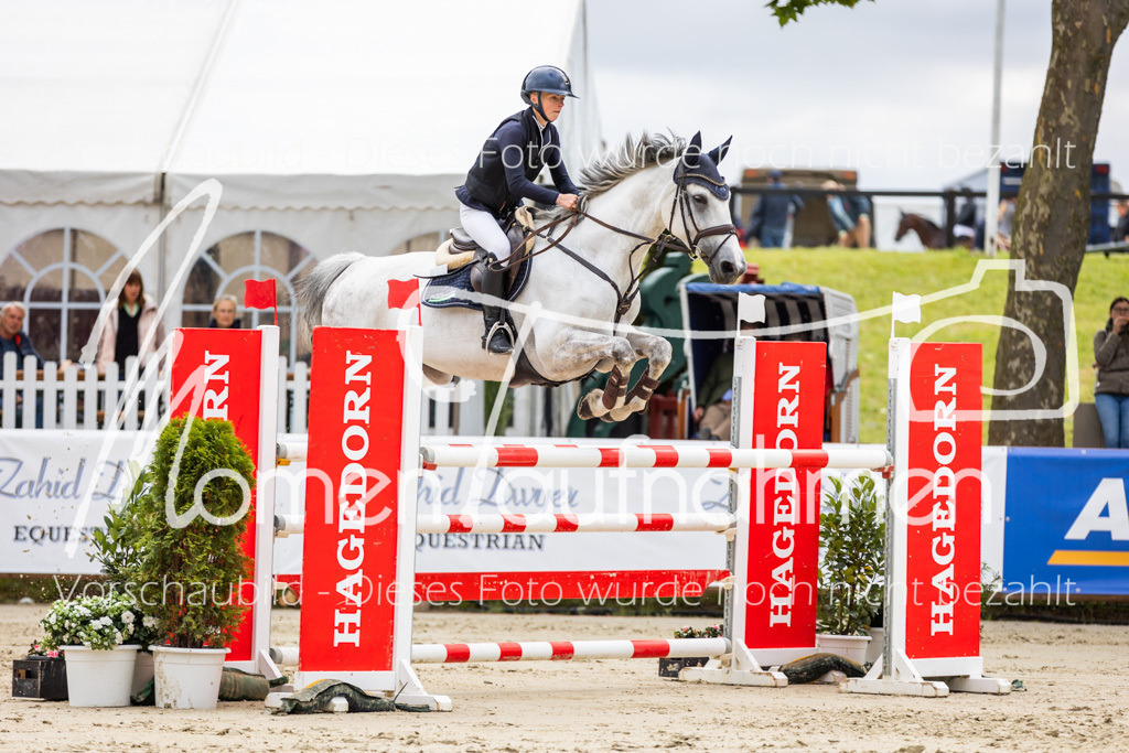 BHO-2PhSpr-M-5-2089 | MomenTaufnahmen Pferdesportfotos