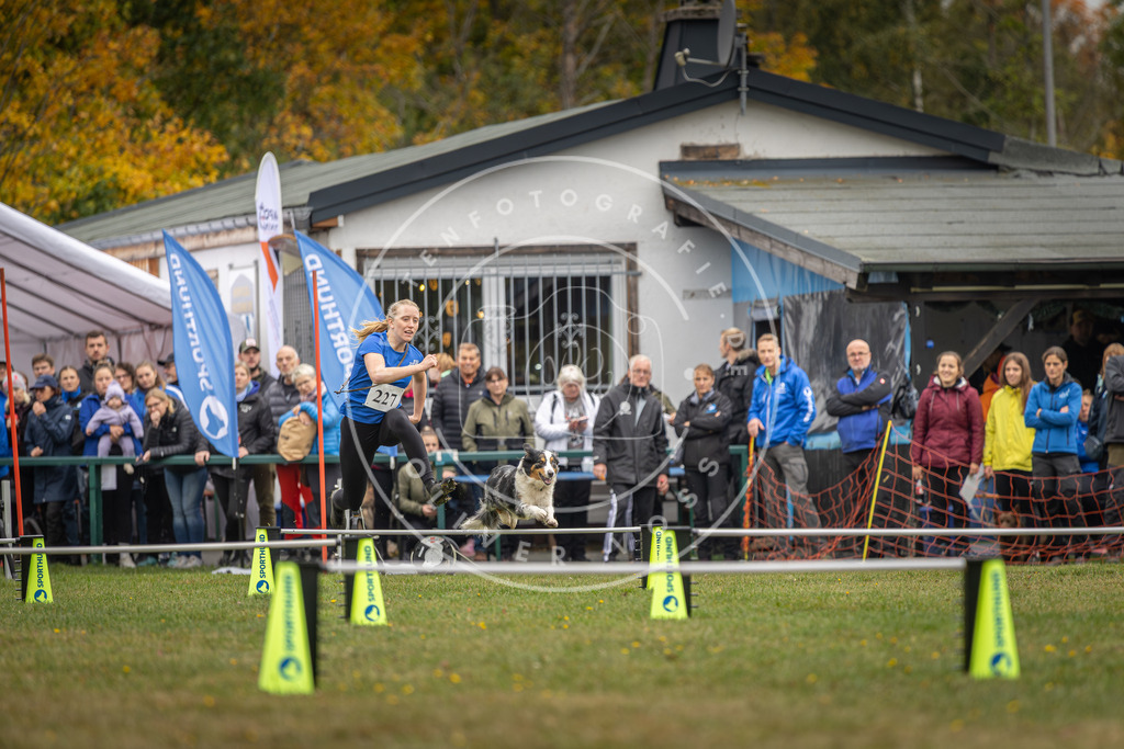 Pfotenfotografie_DV3A3203 | Hundefotografie, Tierfotograf, Pfotenfotografie, Fotoshooting Hund, Hunde Portrait, Hundesport, Hundeportraits, Heideshooting, Hunde, Sportfotograf, Hundefotograf, Turnierhundsport, THS,  - Realisiert mit Pictrs.com
