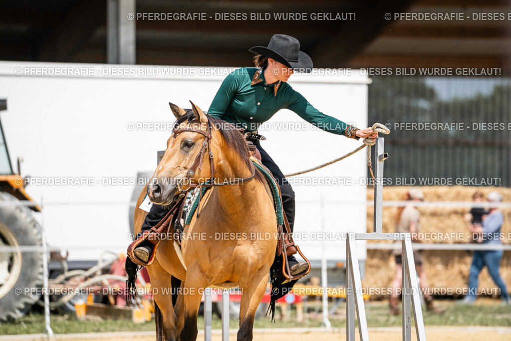 DSC01321 | Pferdegrafie