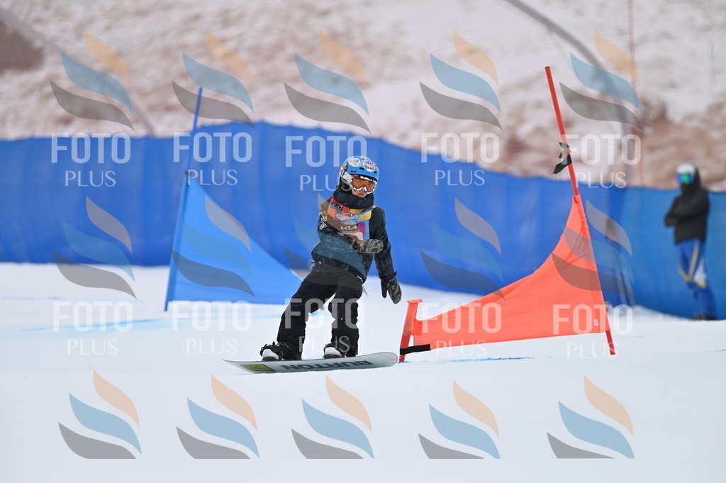 BGV_3925 | holidayphoto