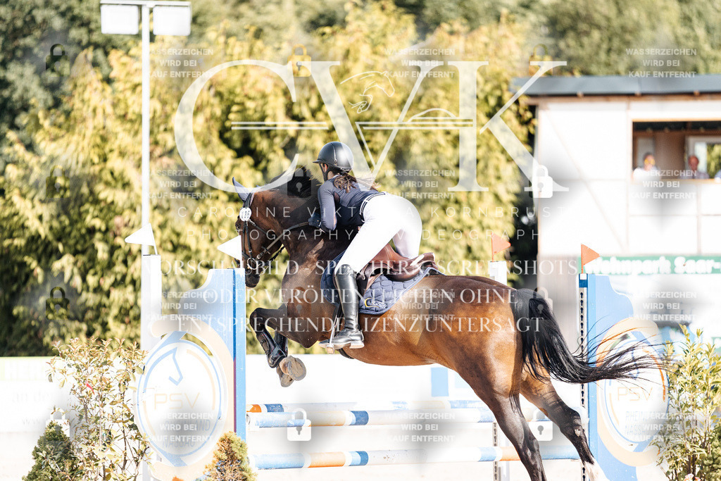 CK909206 | Turnierfotografie Pferdefotografie Trier Rheinland-Pfalz Pferdesport Reitsport Tierfotografie Sportfotografie Pferdevideo Pferdevideografie Equestrianvideography equestrianphotography  - Realisiert mit Pictrs.com
