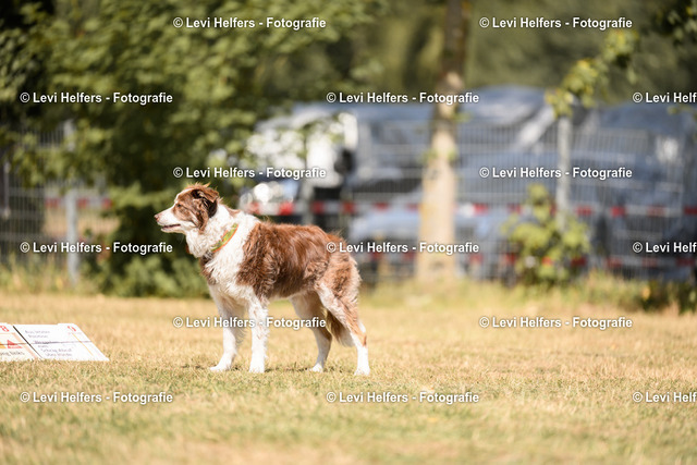 _DSC6128 | levihelfersfotografie