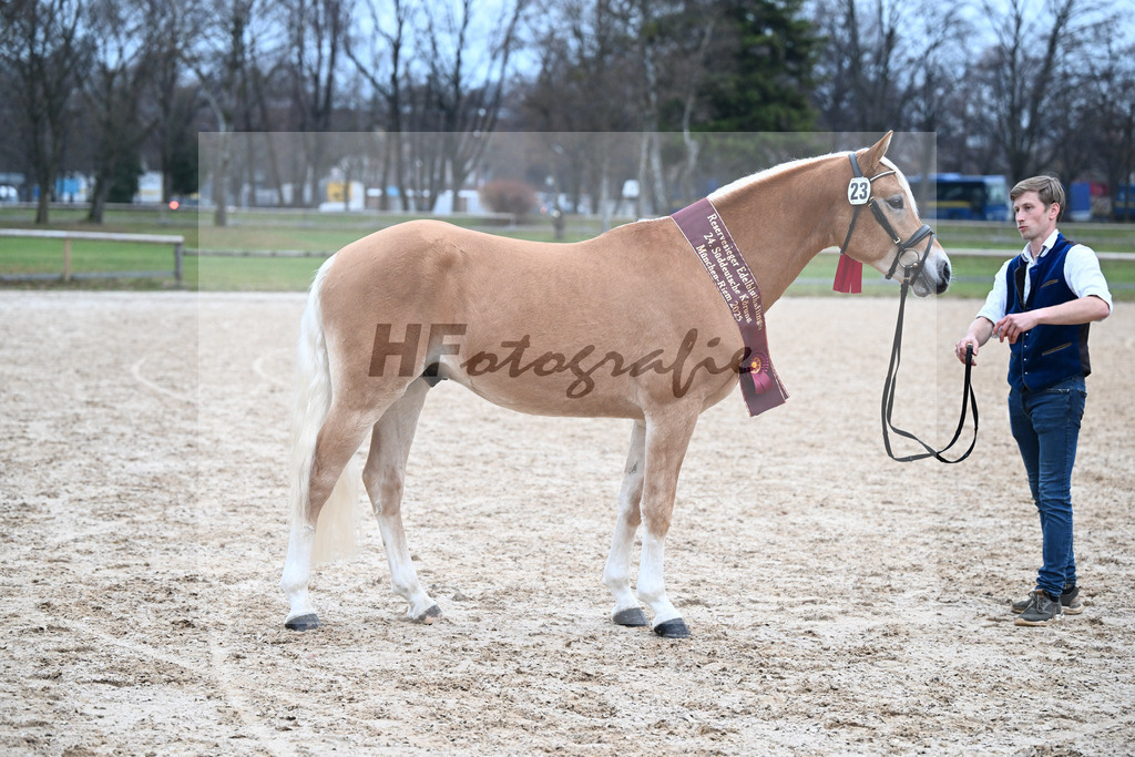 Kat-Nr. 23 Maverick v. Manu_Lechner_48251885 | hf-fotografie - Realisiert mit Pictrs.com