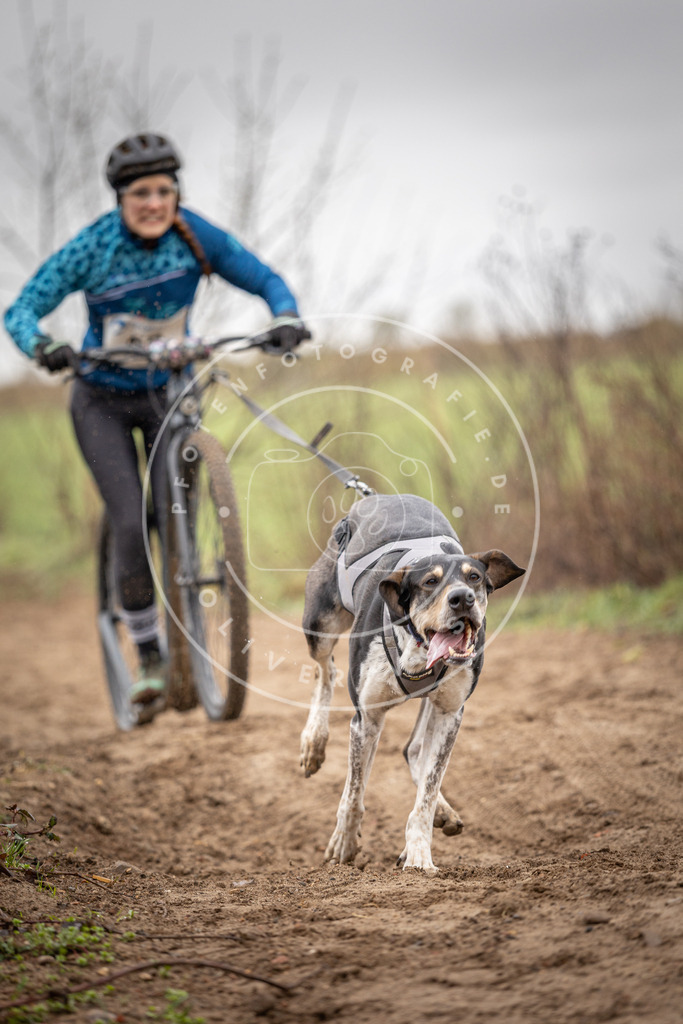 DV3A9202 | Hundefotografie, Tierfotograf, Pfotenfotografie, Fotoshooting Hund, Hunde Portrait, Hundesport, Hundeportraits, Heideshooting, Hunde, Sportfotograf, Hundefotograf, Turnierhundsport, THS,  - Realisiert mit Pictrs.com