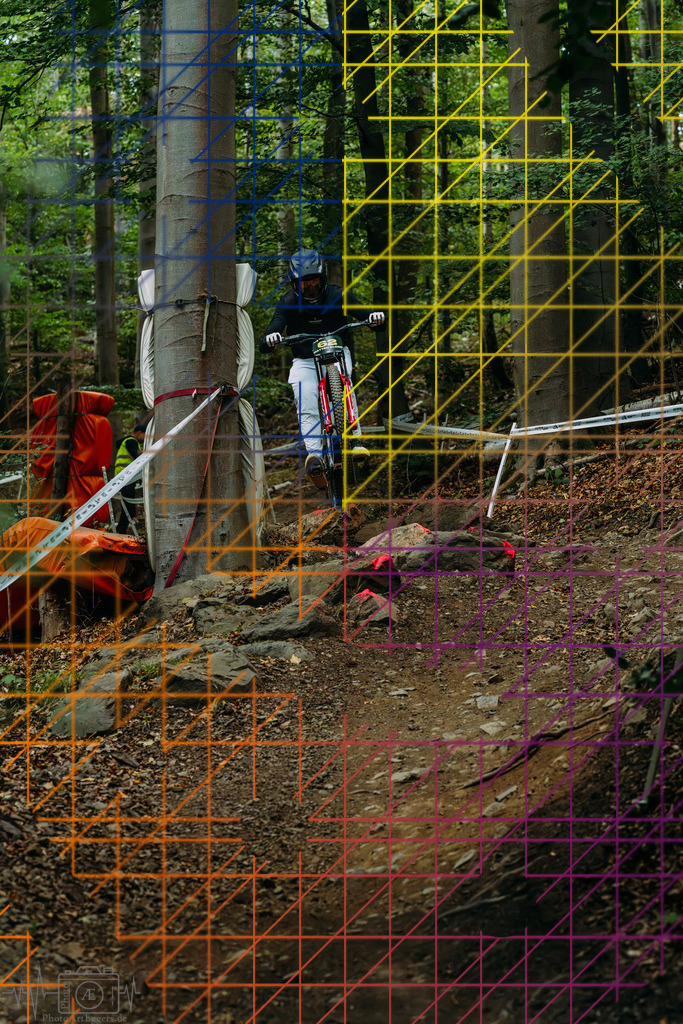 PAE-2428 | Einzigartige Fotokunst für dein Zuhause: Entdecke hochwertige Wandbilder, edle Prints und emotionale Motive von Wildlife, Natur und Landschaften - Realisiert mit Pictrs.com