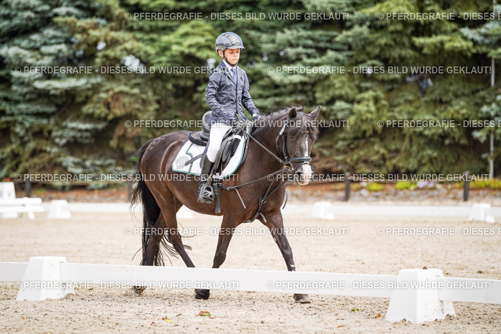 DSC02755 | Pferdegrafie