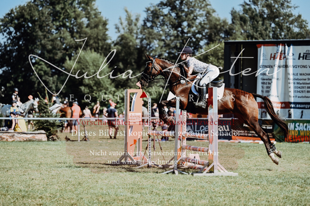 DSC_6755 | Pferde- und Turnierfotografie in Westsachsen. Pferdeportraits, Auftragszeichnungen und intuitive Kunst.