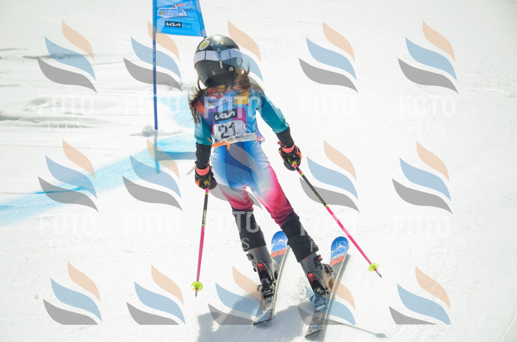 _ELE4742 | holidayphoto