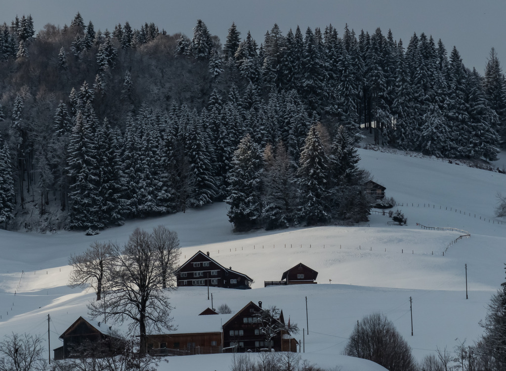 PSX_20230226_232623 | mtkfoto_ - Realisiert mit Pictrs.com