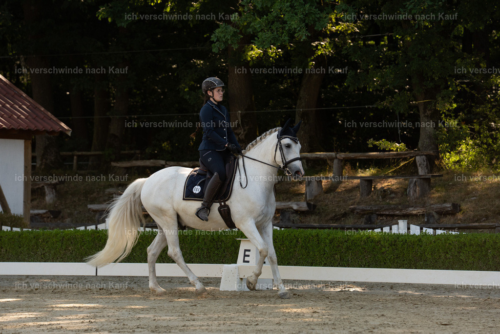 WA_DR_4_SinaFilmArt_IN00963 | working equitationturnier fotograf videograf stoibphotography marixx film working equitation deutschland reitsport turnierfotografie eventfotografie equestrian events