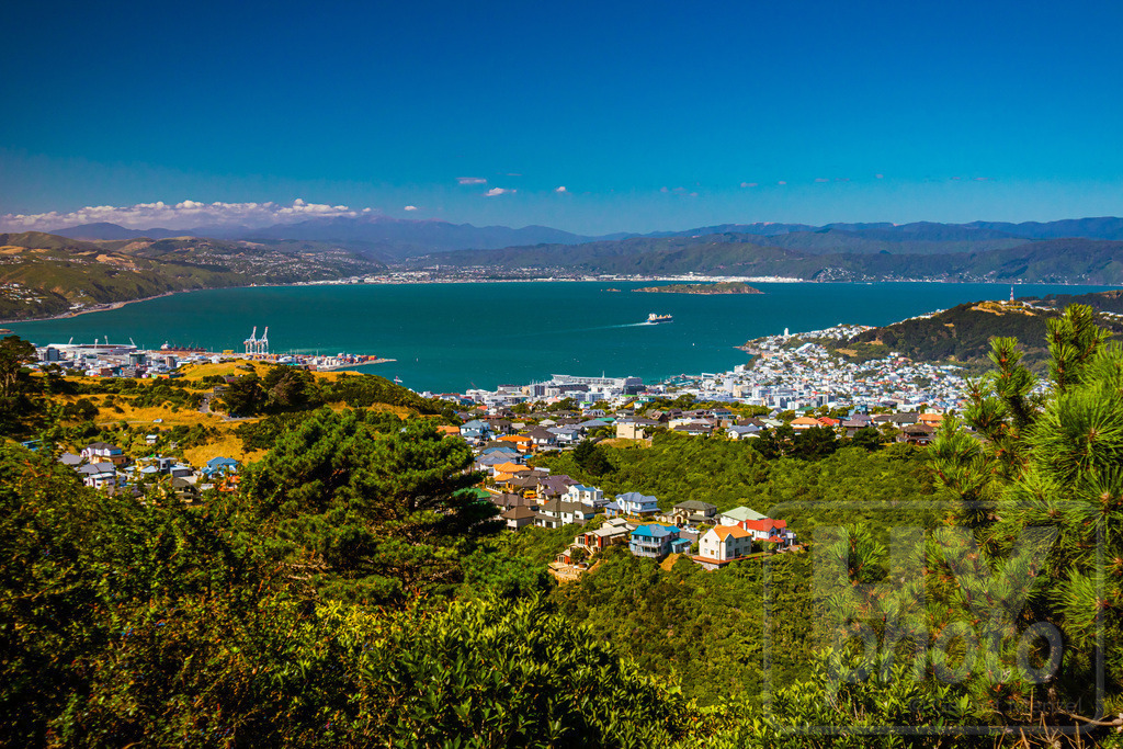 Neuseeland 2018/19 | Wellington - Realisiert mit Pictrs.com