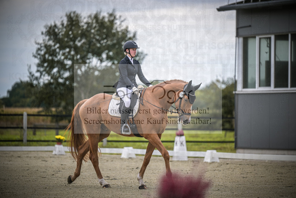 DOS_0383 | Entdecke hochwertige Reitturnierfotos von Foto Oger. Professionell, emotional und authentisch – jetzt Lieblingsmomente im Shop bestellen.Deutschlandweite Turnierfotografie. - Realisiert mit Pictrs.com