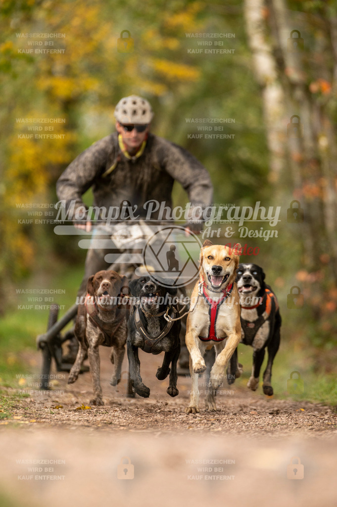 TSB_2023_E4_Kart-15 | mompixphotography