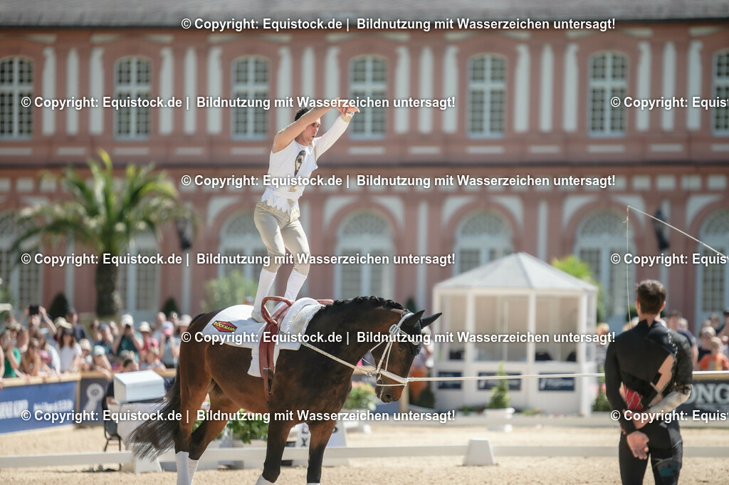 20230528_Voltigieren_NASPA_0203 | equistock