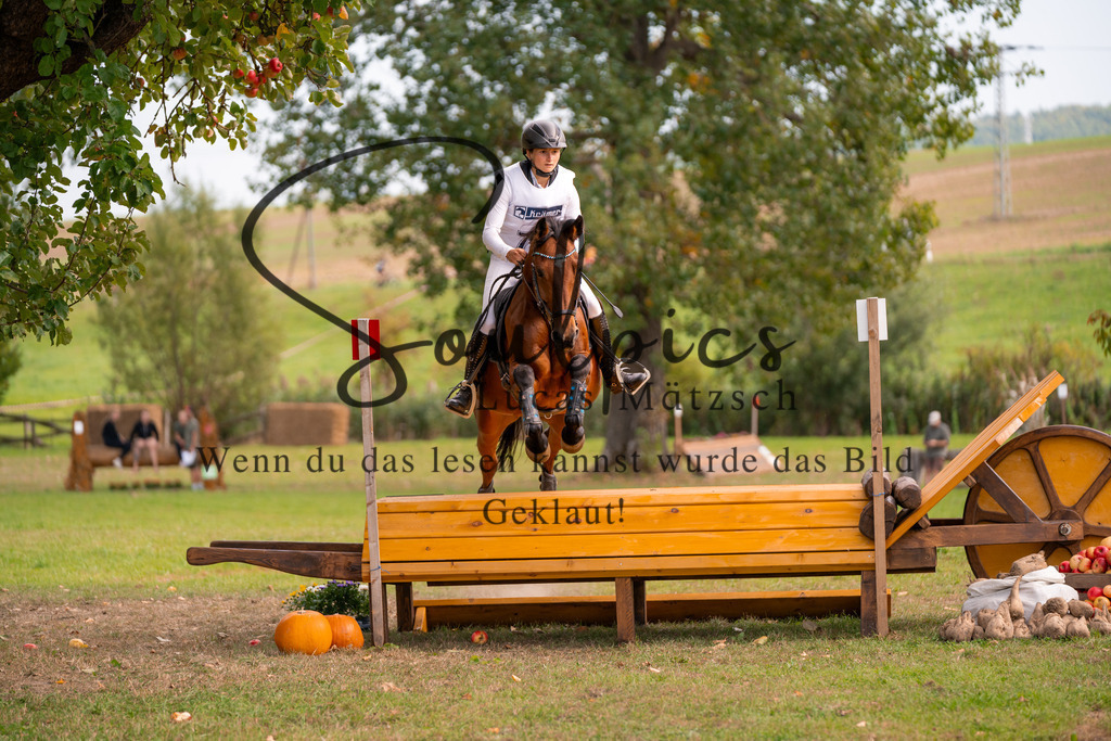 A7V03764 | Pferdefotograf