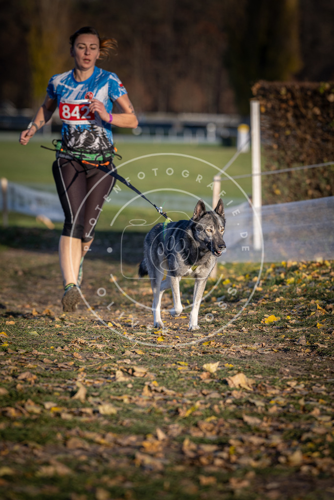 CaniXpix_DV3A3721 | Hundefotografie, Tierfotograf, Pfotenfotografie, Fotoshooting Hund, Hunde Portrait, Hundesport, Hundeportraits, Heideshooting, Hunde, Sportfotograf, Hundefotograf, Turnierhundsport, THS,  - Realisiert mit Pictrs.com