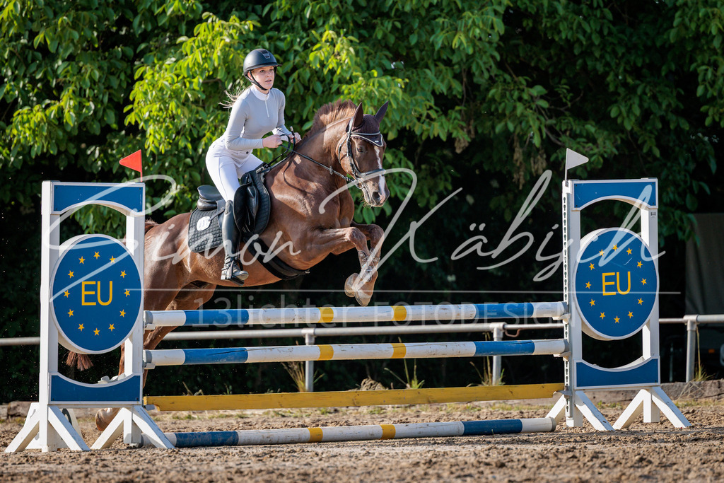 20260529-_3LI0777 | Tierfotografie Pferde, Hunde, Katzen, Haustiere.
Turnierfotografie Reitturniere, Reiten, Springreiten, Dressur in Hanau, dem Main-Kinzig-Kreis und dem Rhein-Main- Gebiet um Frankfurt