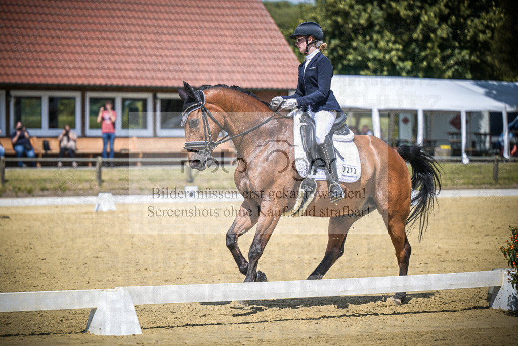 DOS_5455 | Entdecke hochwertige Reitturnierfotos von Foto Oger. Professionell, emotional und authentisch – jetzt Lieblingsmomente im Shop bestellen.Deutschlandweite Turnierfotografie. - Realisiert mit Pictrs.com