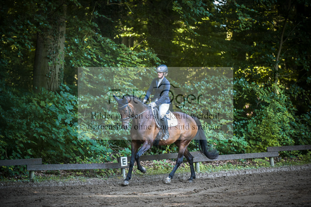 DOS_1659 | Entdecke hochwertige Reitturnierfotos von Foto Oger. Professionell, emotional und authentisch – jetzt Lieblingsmomente im Shop bestellen.Deutschlandweite Turnierfotografie. - Realized with Pictrs.com