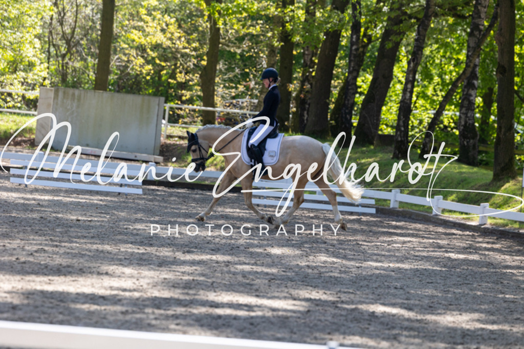 7I8A2445 | melanie-engelhardt-photography - Realisiert mit Pictrs.com