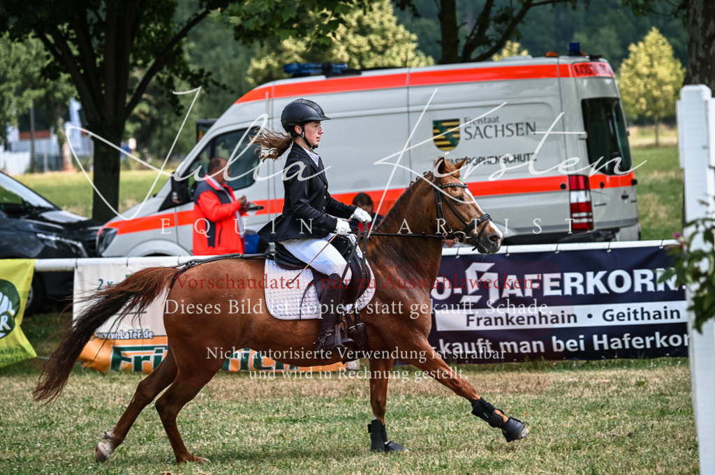 DSC_8573 | Pferde- und Turnierfotografie in Westsachsen. Pferdeportraits, Auftragszeichnungen und intuitive Kunst.