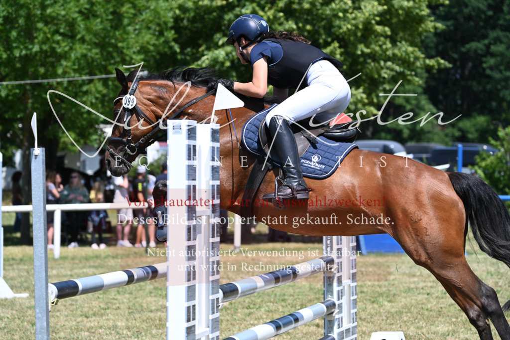 DSC_0818 | Pferde- und Turnierfotografie in Westsachsen. Pferdeportraits, Auftragszeichnungen und intuitive Kunst.