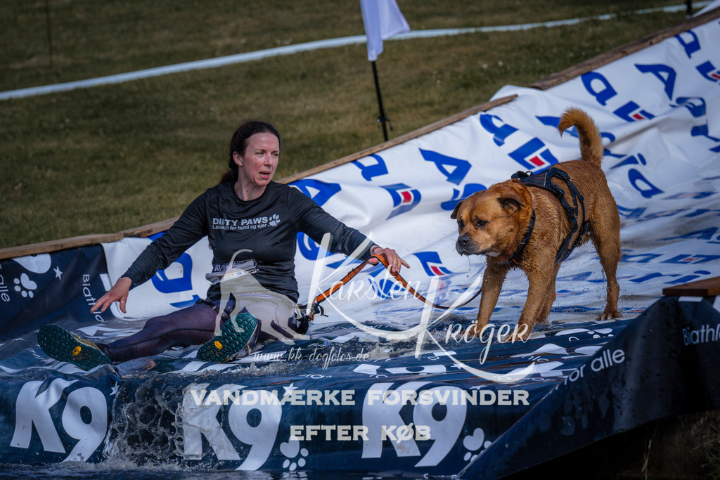 _ZZ990500816 | kk-dogfotos