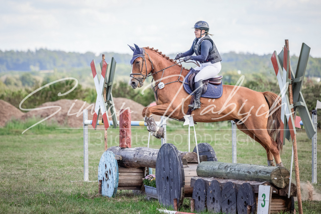 20250906-_3LI7000 | Tierfotografie Pferde, Hunde, Katzen, Haustiere.
Turnierfotografie Reitturniere, Reiten, Springreiten, Dressur in Hanau, dem Main-Kinzig-Kreis und dem Rhein-Main- Gebiet um Frankfurt
