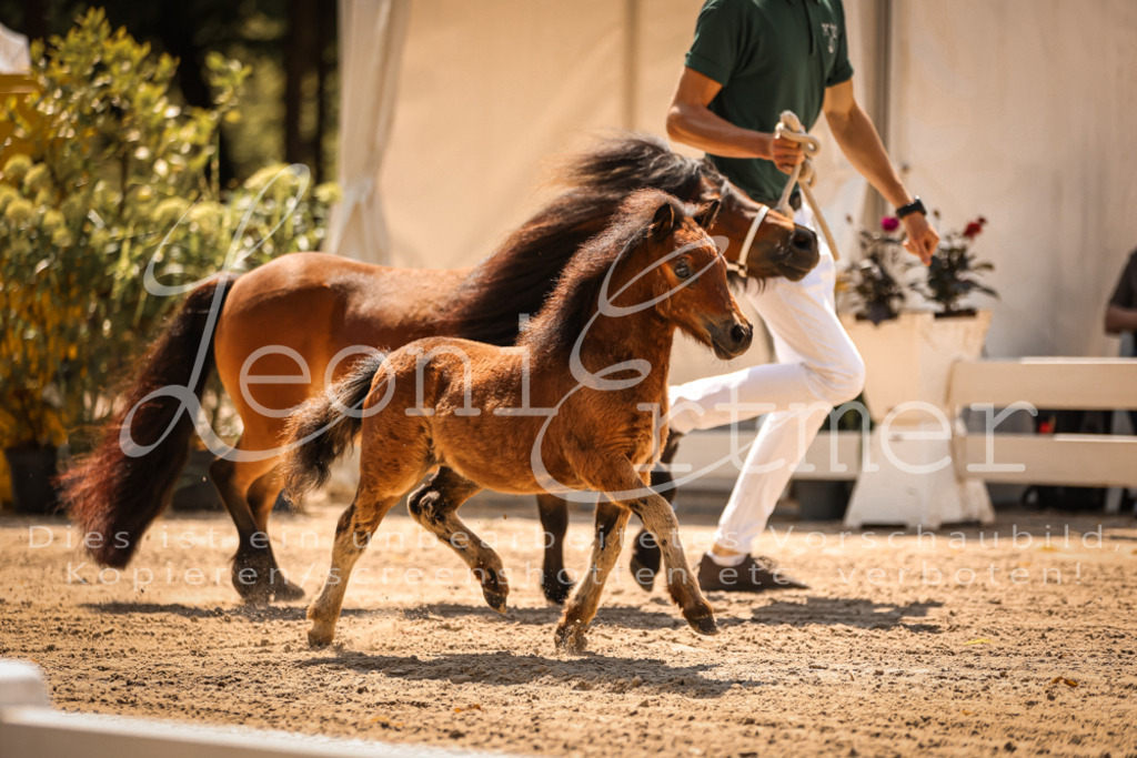 01.DoKR00055 | Leoni Ertmer Photography - Realisiert mit Pictrs.com