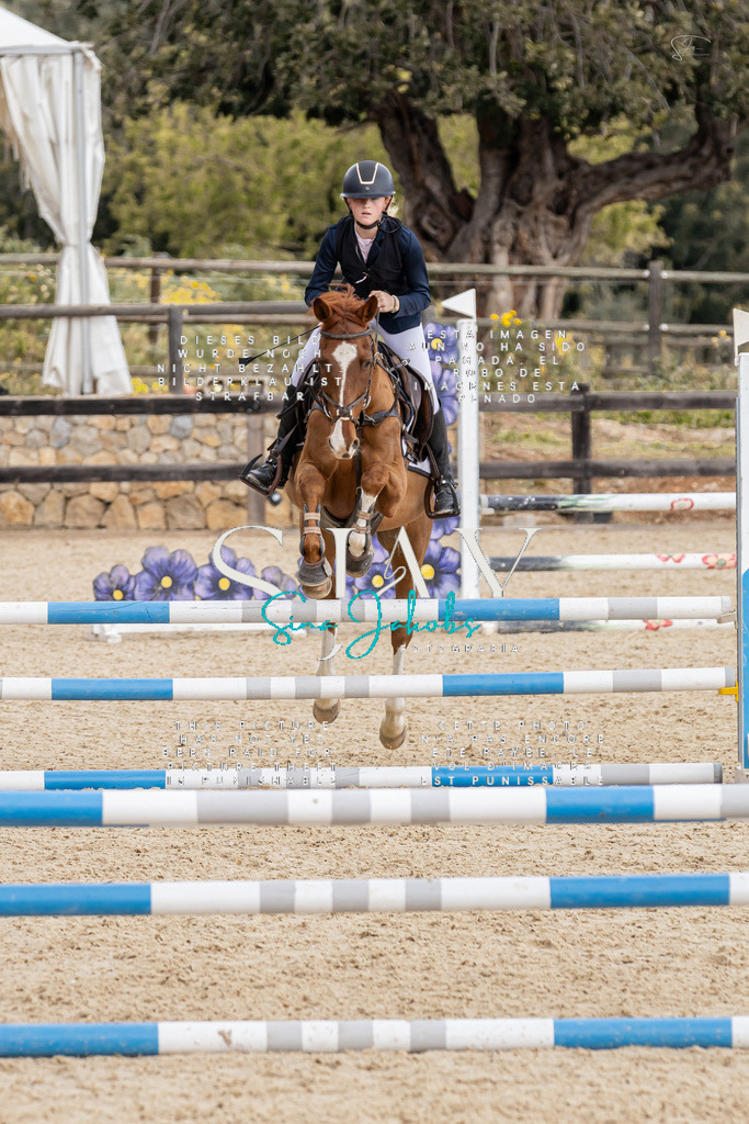 IMG_4698 | s-jay-photography - Realisiert mit Pictrs.com