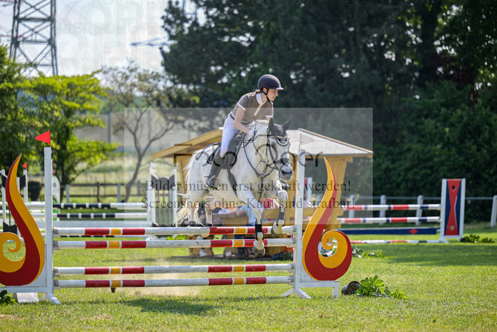 Reitturnier Voxtrup | Entdecke hochwertige Reitturnierfotos von Foto Oger. Professionell, emotional und authentisch – jetzt Lieblingsmomente im Shop bestellen. - Realisiert mit Pictrs.com