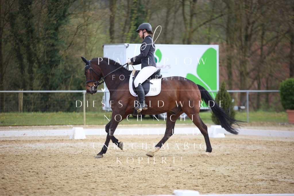 IMGT7236 | pl-fotografie