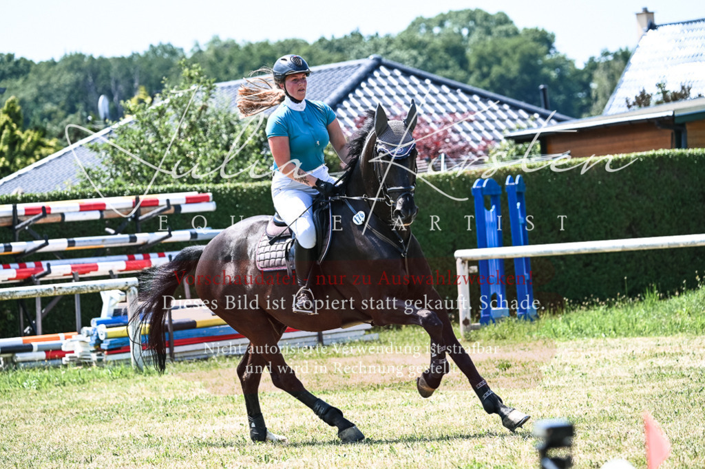 DSC_0072 | Pferde- und Turnierfotografie in Westsachsen. Pferdeportraits, Auftragszeichnungen und intuitive Kunst.
