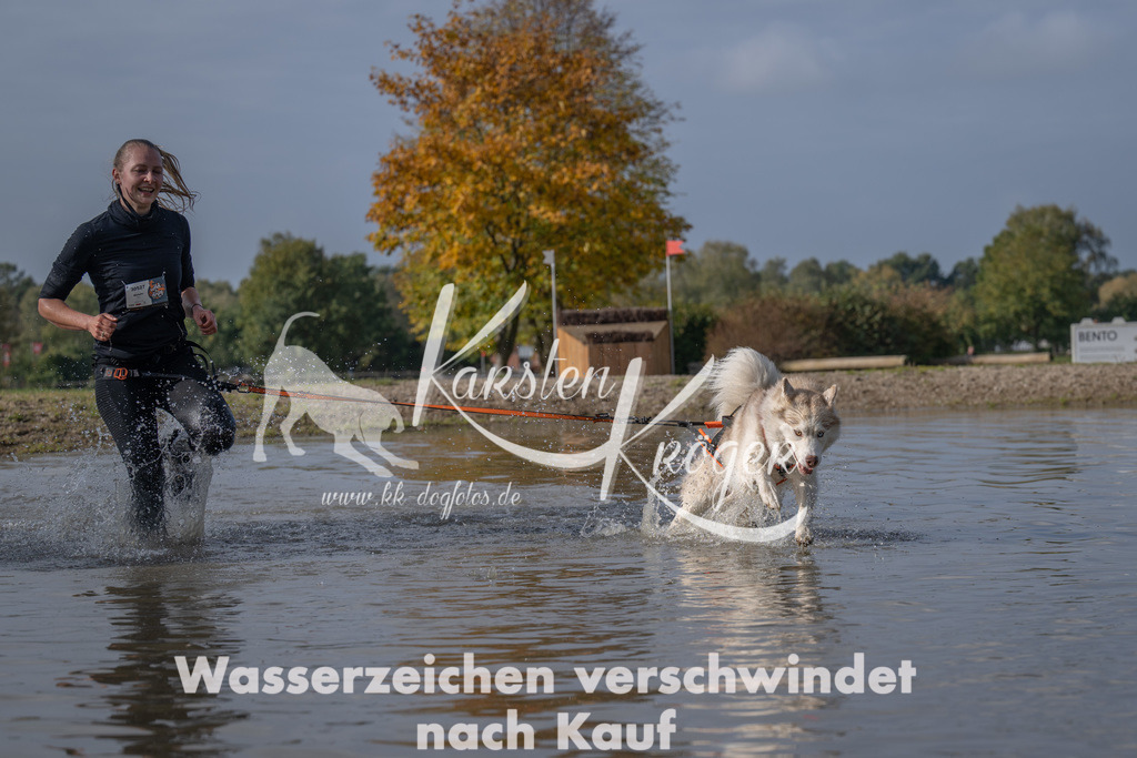 1156_ZZ94690 | kk-dogfotos