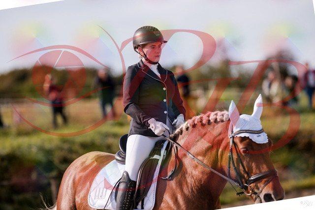 2026_10_03_Siefer-Hof_114021_Z81_82730415 | Professionelle Reitsport-, Turnier- und Eventfotografie von Robert Broda. Galerien mit ausgewählten und bearbeiteten Bildern direkt online ansehen und bestellen.