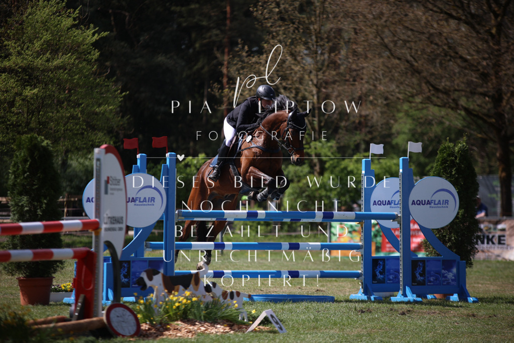 IMGT1193 | pl-fotografie