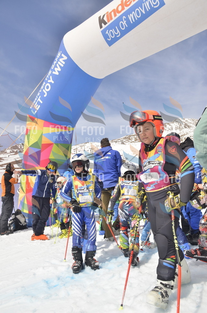 _ELE8423 | holidayphoto