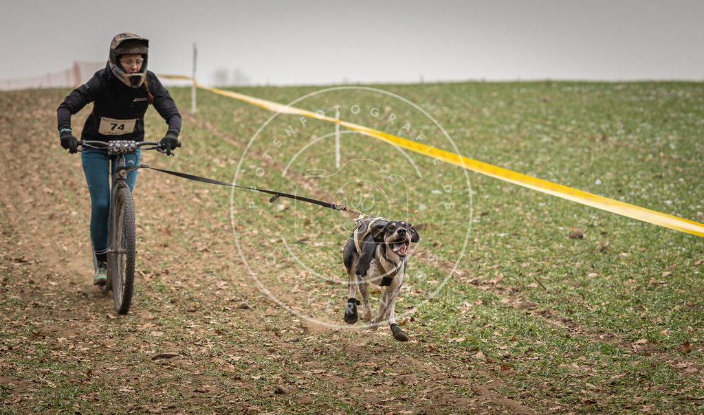 Pfotenfotografie_DV3A3674 | Hundefotografie, Tierfotograf, Pfotenfotografie, Fotoshooting Hund, Hunde Portrait, Hundesport, Hundeportraits, Heideshooting, Hunde, Sportfotograf, Hundefotograf, Turnierhundsport, THS,  - Realisiert mit Pictrs.com