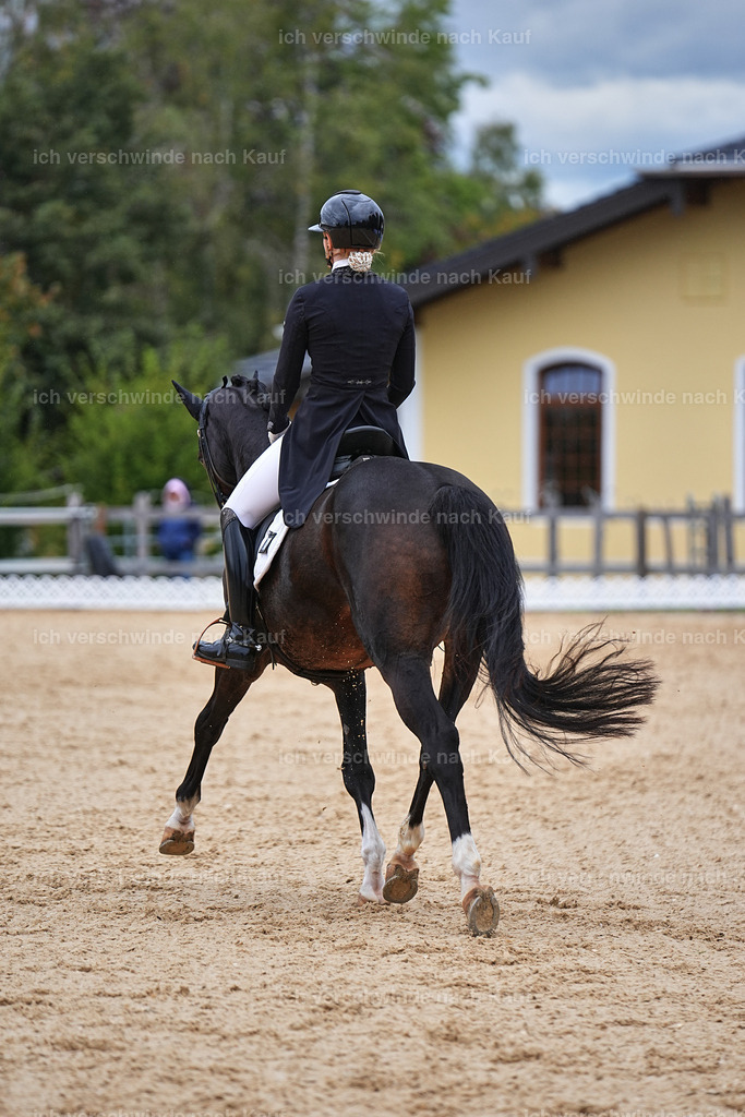 8_1-104-Klasse S_  -Marixx-4213 | working equitationturnier fotograf videograf stoibphotography marixx film working equitation deutschland reitsport turnierfotografie eventfotografie equestrian events