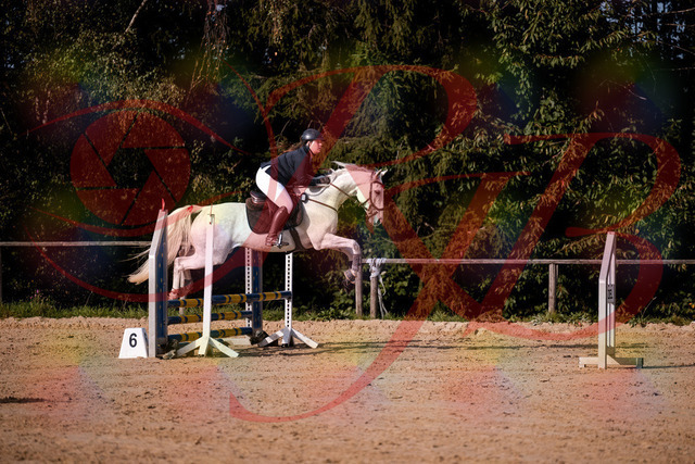 2026_10_03_Siefer-Hof_154007_Z81_56089674 | Professionelle Reitsport-, Turnier- und Eventfotografie von Robert Broda. Galerien mit ausgewählten und bearbeiteten Bildern direkt online ansehen und bestellen.