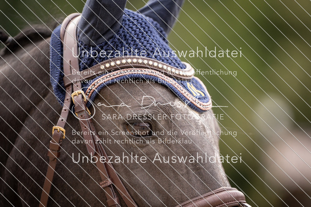 SD_OES26_09007 | saradresslerfotografie - Realisiert mit Pictrs.com
