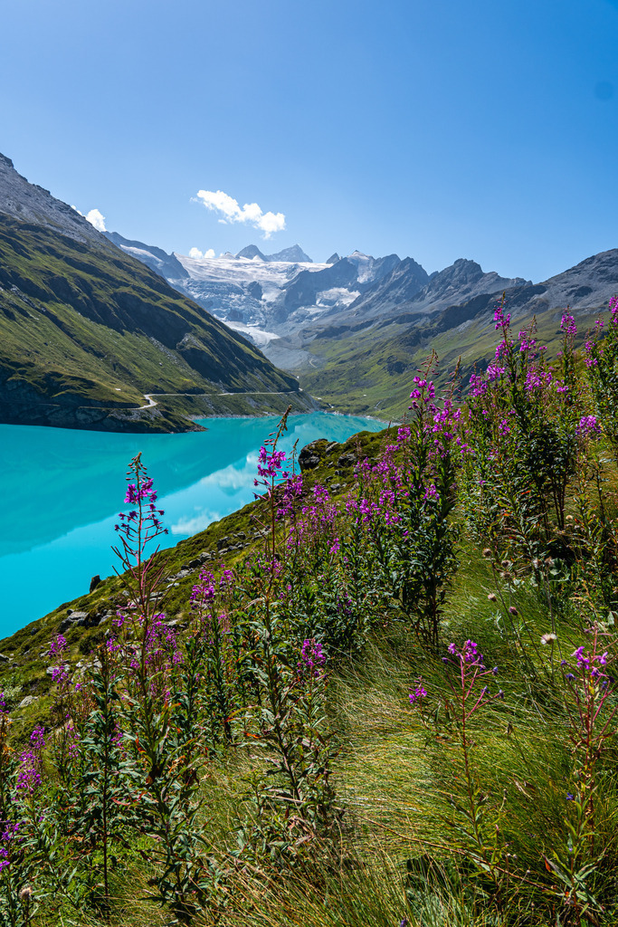 _DSC0224 | <meta name="keywords" content="Bergbilder, Hochzeitsfotografie, Actionshootings, Fotografiearbeiten, Berglandschaften, Naturfotografie">

 - Realisiert mit Pictrs.com