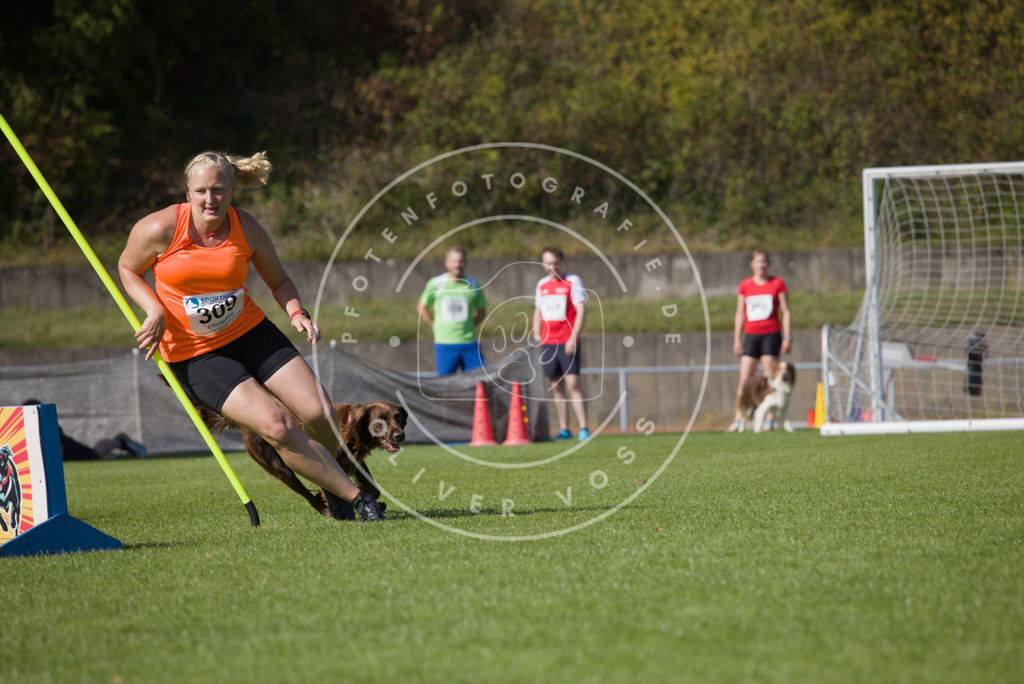 0L8A8108 | Hundefotografie, Tierfotograf, Pfotenfotografie, Fotoshooting Hund, Hunde Portrait, Hundesport, Hundeportraits, Heideshooting, Hunde, Sportfotograf, Hundefotograf, Turnierhundsport, THS,  - Realisiert mit Pictrs.com