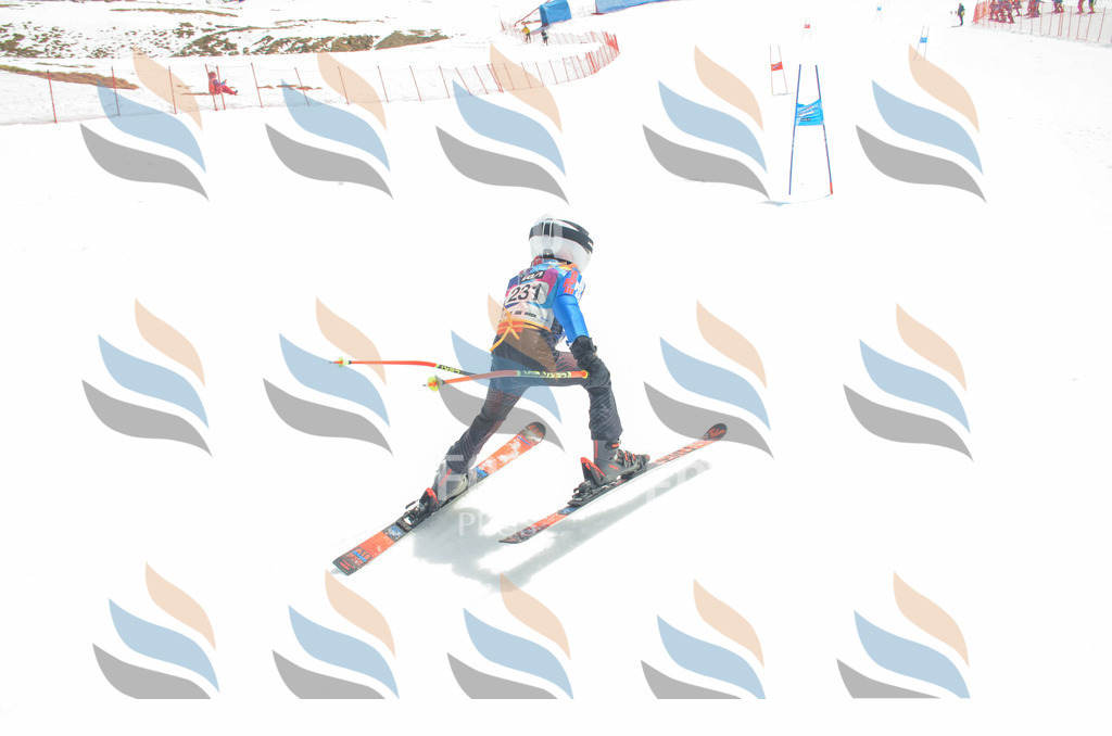 _ELE7310 | holidayphoto