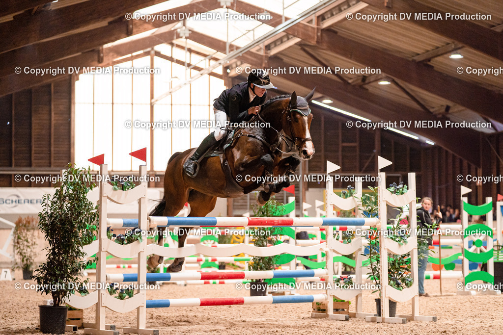 Springen Tag 3-411 | dv-media-shop - Realisiert mit Pictrs.com