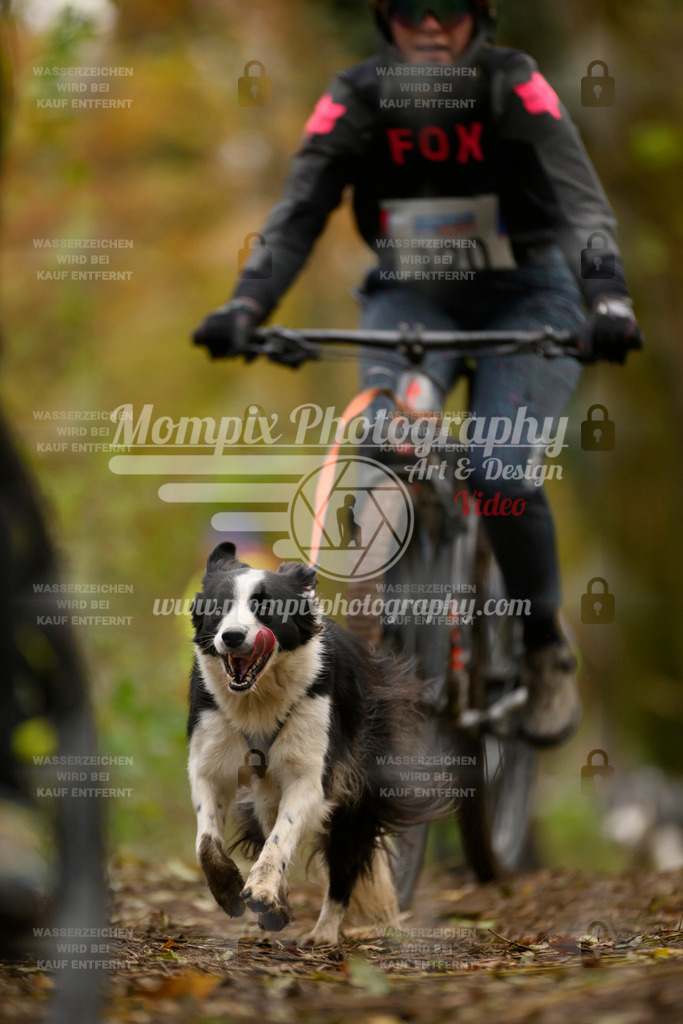 MompixPhotography_Bischwiller24_SA_VTT-44 | PayLife