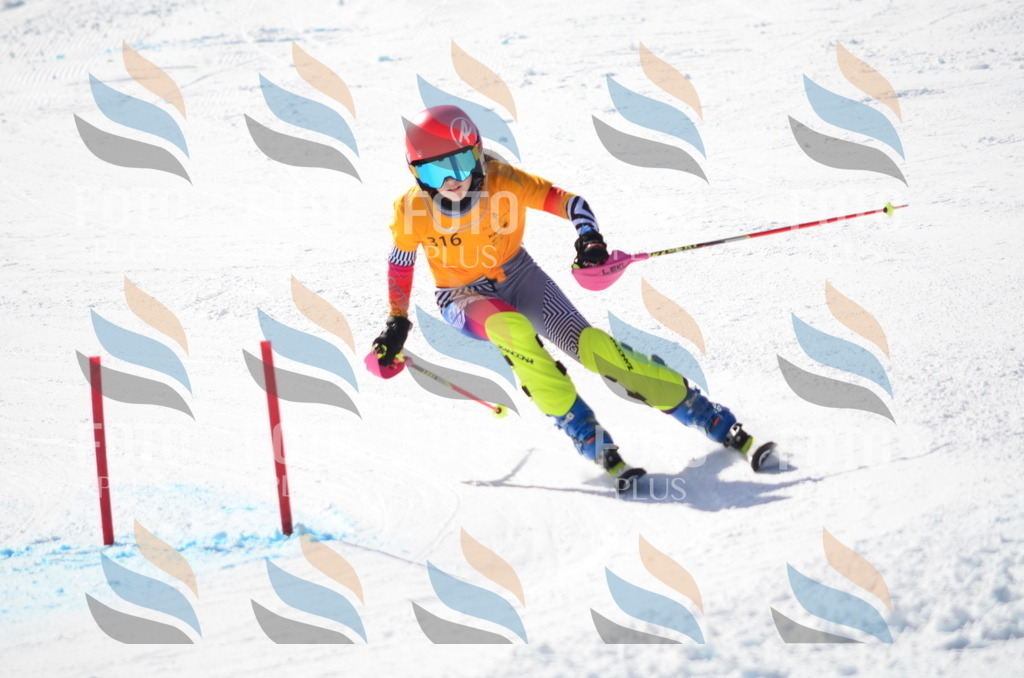 C9553 | holidayphoto