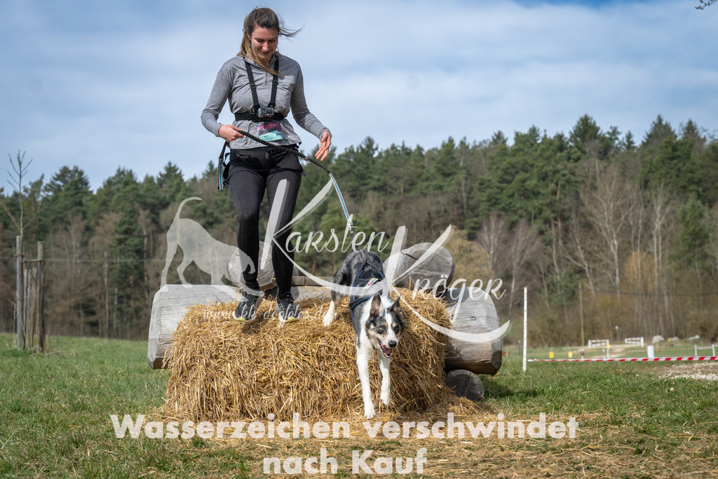 1047_ZZ93752 | kk-dogfotos